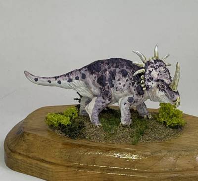 Adult Styracosaurus